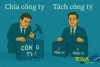 PHÂN BIỆT VIỆC CHIA CÔNG TY VÀ TÁCH CÔNG TY